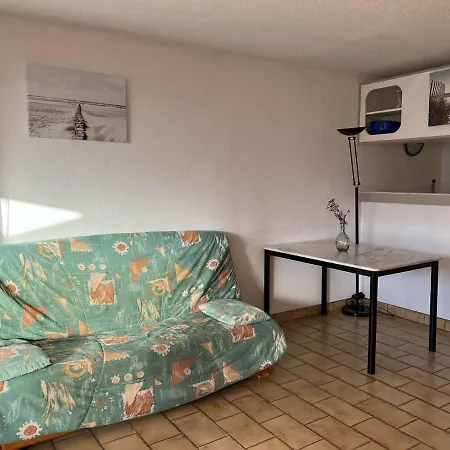 Grand 3 Pieces Avec Terrasse, Lave-linge Et Lave-vaisselle, Animaux Acceptes - Fr-1-702-24 Agde