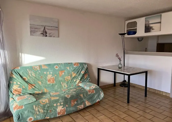 Grand 3 Pieces Avec Terrasse, Lave-linge Et Lave-vaisselle, Animaux Acceptes - Fr-1-702-24 阿格德